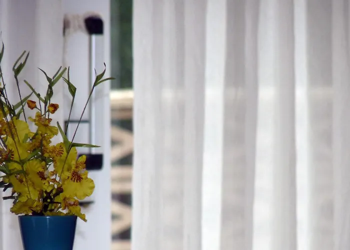 Hotel Playa De Meron *